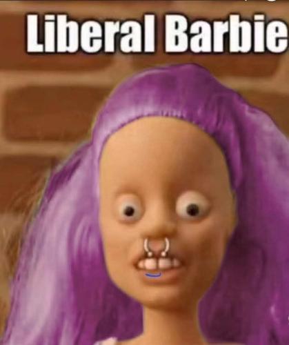 IMG_20260129_134558_671