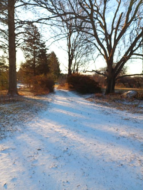 IMG_20260101_080404_070