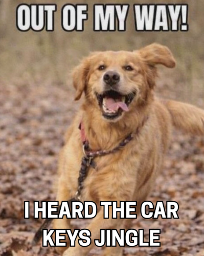 out-my-way-heard-car-keys-jingle