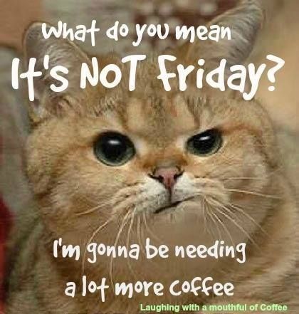 9c83604323b5494e9116c040613c4079