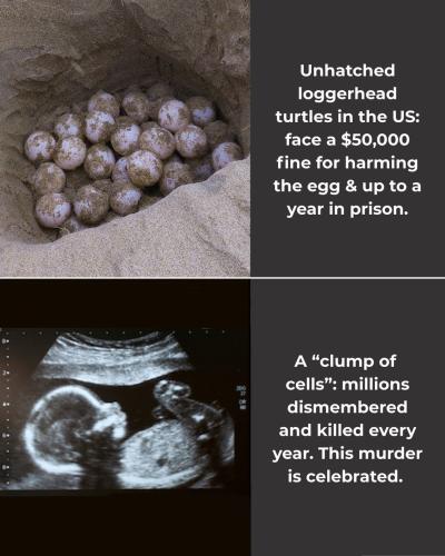 623515559_934353035769295_2223258793806260119_n