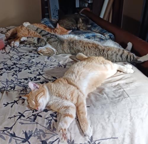 Resized_20260114_100309