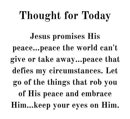 623415965_912352931299054_2686682075133556111_n