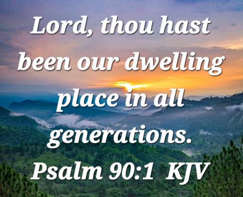 565e2835-d935-498a-ae78-353e1371606d