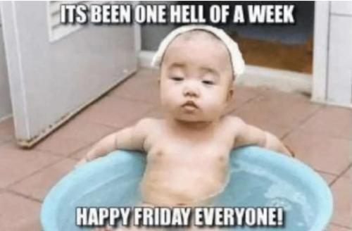 FB_IMG_1769530515687