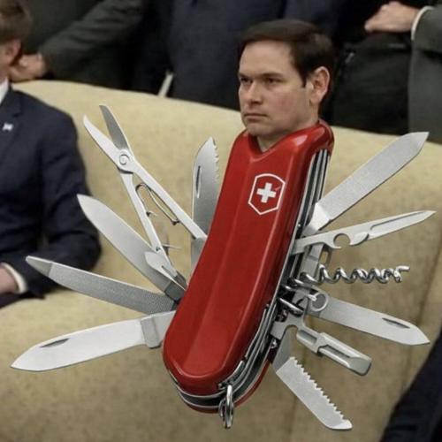 IMG_20260115_114306_886