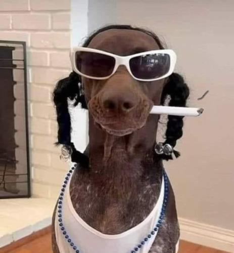 main-qimg-6ae9a500ea90a93b037844f7ff1b8f0d