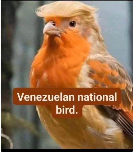 FB_IMG_1767555099303