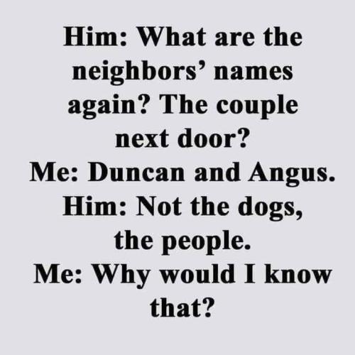 40b5b3fd1e6b8bc8be8f8815bdccb141