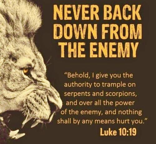 de221b2ddf83cf64a448f5d2a6f90996