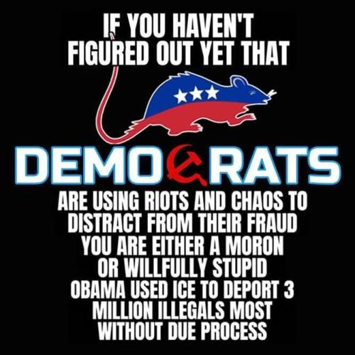 FB_IMG_1769201671827