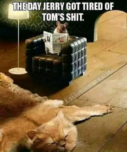 Screenshot_20260104_120342_Gallery