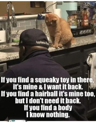 e5f1e1e267db8af1f38333b739e508fc