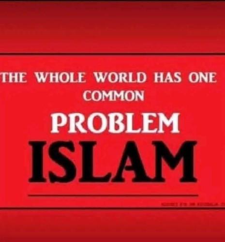 a744aa3a2980edb63d2d05a492a79236