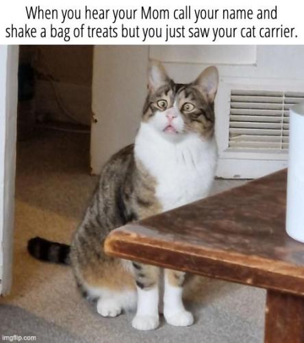 c97af1a00c0d9b733bd6a4feb2d4578f