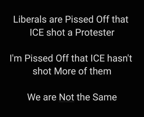 liberals-pissed-shot-protester