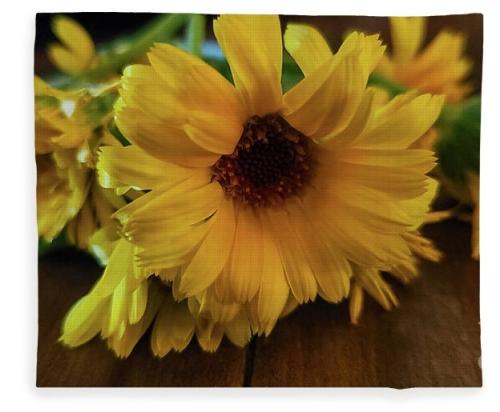 Screenshot_20260117_153641_Brave