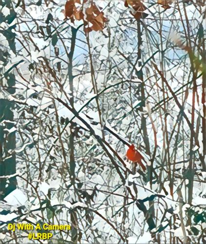 FB_IMG_1770251579134