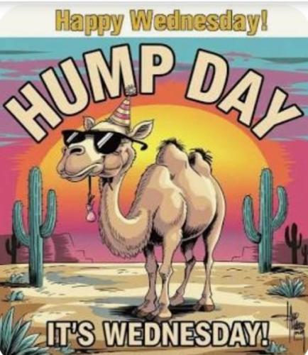 1-Hump Day