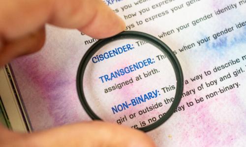 id5145494-Transgender-Books-ii_4_JF_09072022-700x420-1