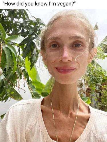 image_5DF67D26-D01B-4F10-8B18-6CEA15691782