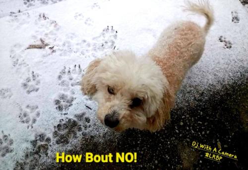 Screenshot_20260122_083958_Gallery