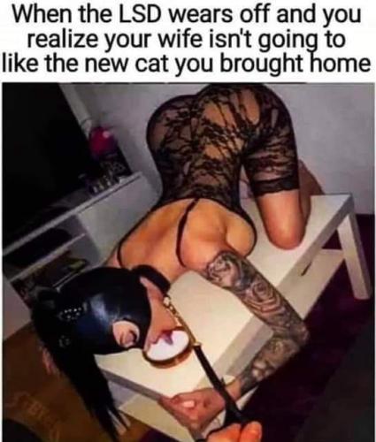 4D33B684-36A8-4980-8A65-B8D60CDC2368