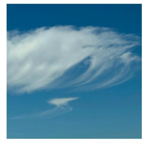 1c7221bc-1e2c-419d-89e2-b3d867aad699