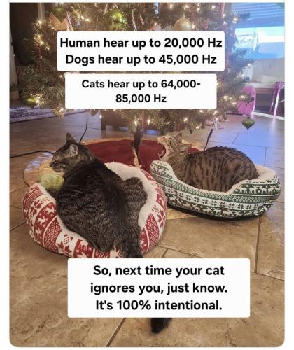 d916c20038c5efacef322547640fb43e