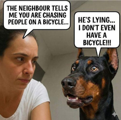 Screenshot_20260210_063711_Gallery