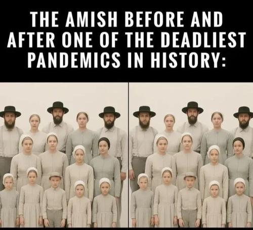 17683046493407190714063290409414_368794873364730