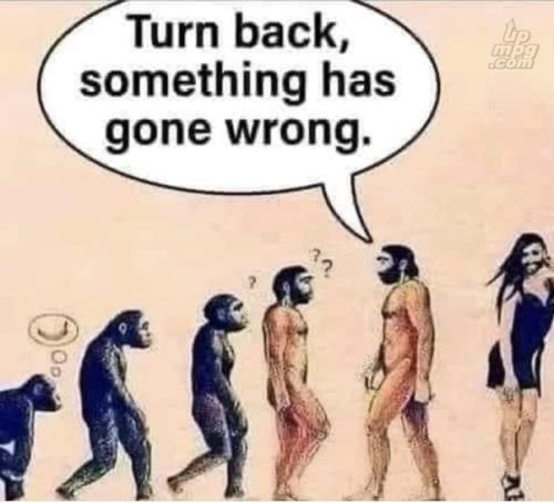 main-qimg-cdf26656433d1cb93c725ea0b3de6577