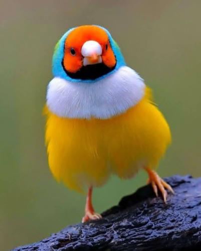 639160842_26861040536818634_4844237087017830749_n