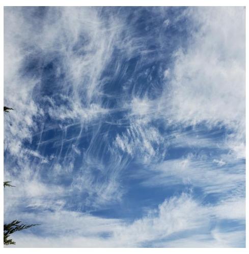 eedc49c0-38a0-4919-a141-d2e16990a945