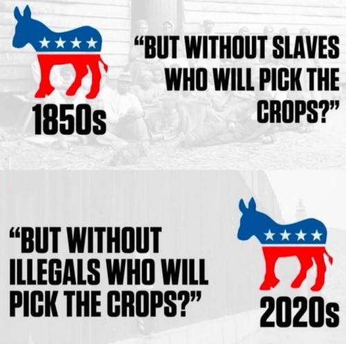 Party of Dependence-Slavery1