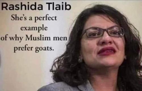 268a8f06-4fb5-42a2-b117-ea95e1f6c9fe