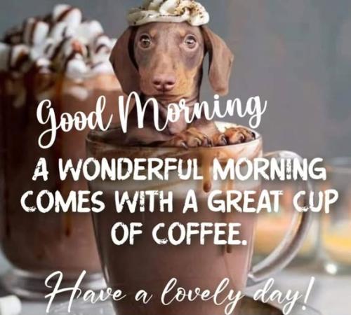 627392768_2712495435780709_5446920000618556204_n