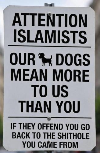 05ac4bc7-73e1-4691-afe8-64d4a91dfaf7