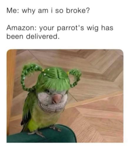 IMG_20260224_070428_054