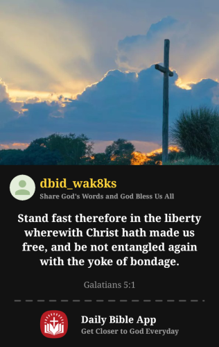 2026-02-151771178768375