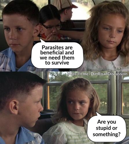 IMG_20260209_003236_458