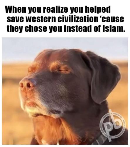 image_DB28EFE4-510C-4D69-8E30-A5B3A04A737B