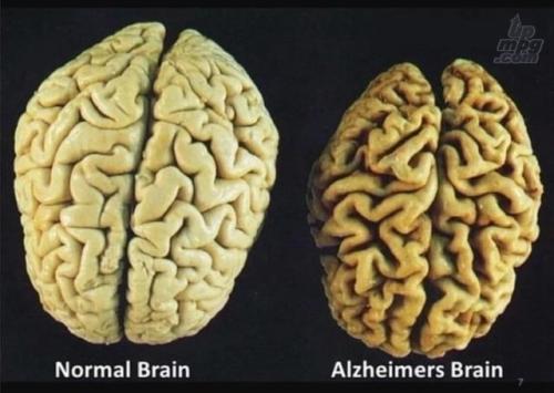 main-qimg-ba67472ef289b27dca8c7d699324c93a