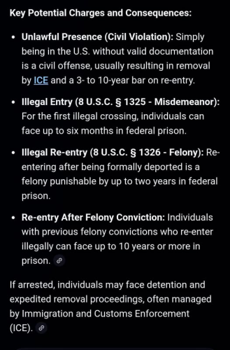 illegals and the law