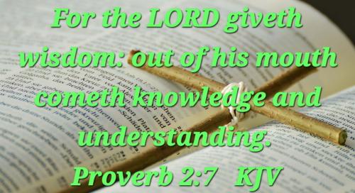 508a3ad6-f0e1-4fef-8bd1-fef6522d6149