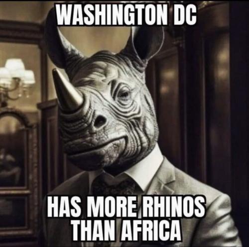 IMG_20260207_081259_411