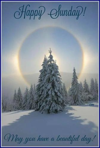 1e0145864bdb4ba4821a9cac54e82d93