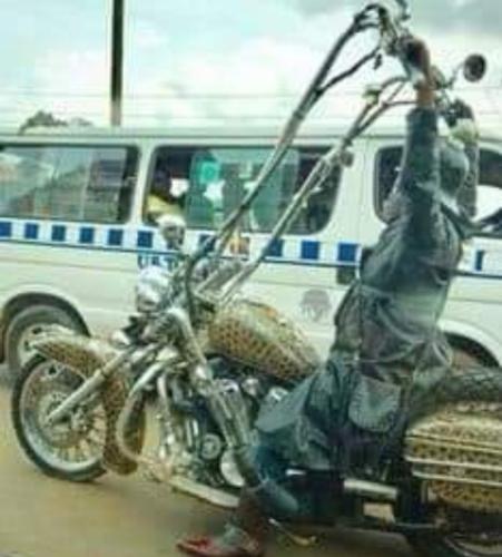 Screenshot_20260210_164340_Gallery