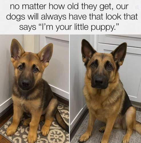 6d9618f3a9b381d4f6d94a0b3d76d686