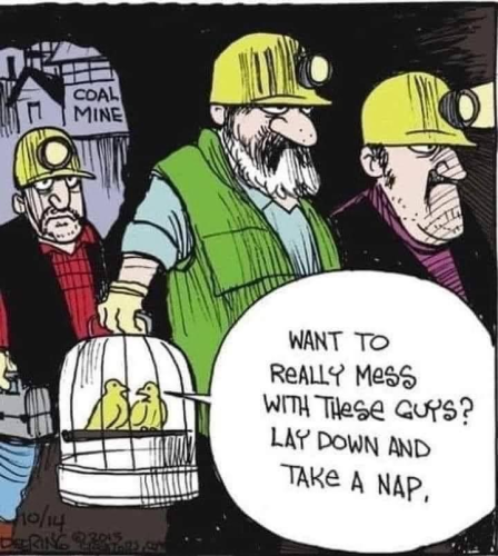 23:22:27 GMT-0600 (CST)